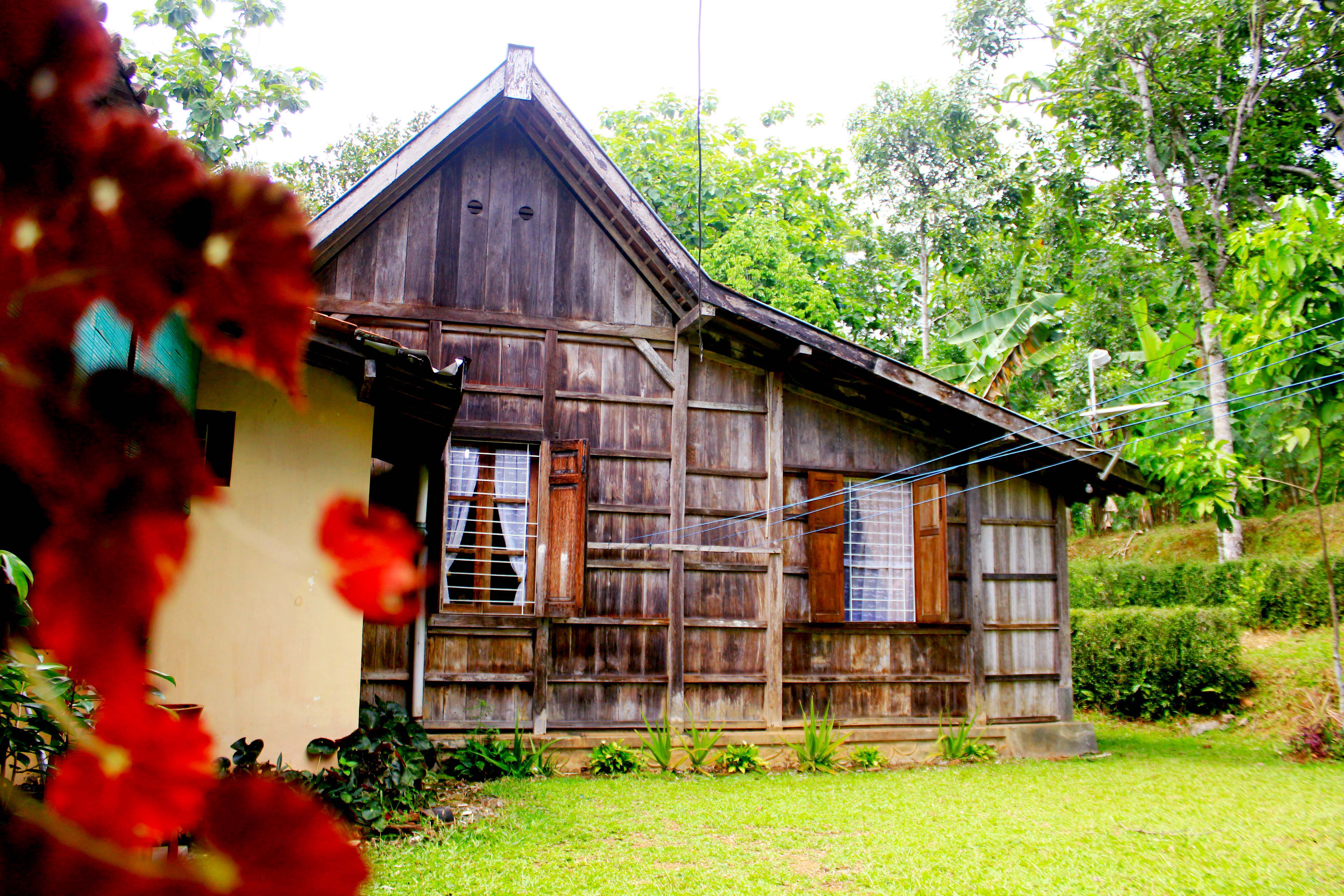 homestay di ambarawa