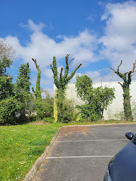 Photo n°29 de Lenestour Élagage - Lenestour Andy à Ploumagoar (Entretien de propriétés)