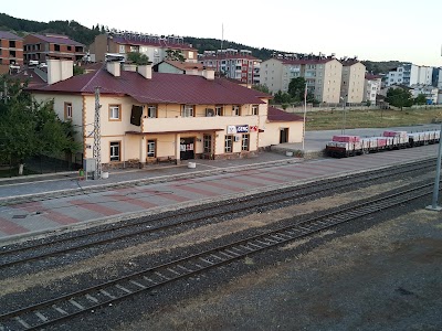 Tcdd Genç İstasyonu