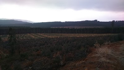 Photos of Lions River Brewery