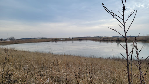 Olson Waterfowl Production Area-Clay County