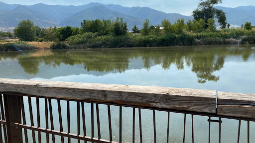 Wetland Discovery Point - Thumbnail