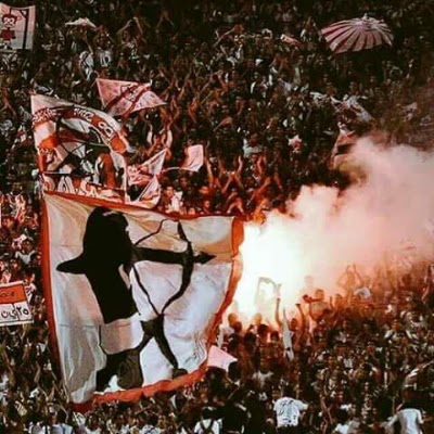 Photos of شركة الايمان لتجارة المبيدات والاسمدة الزراعية