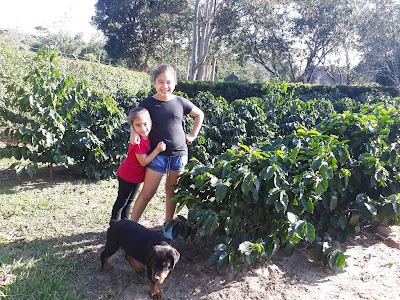 Photos of AGRICAFE - CAFE BUENA VISTA
