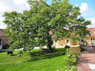 Photo n°2 de La charmée à Jonquières (Gîte)