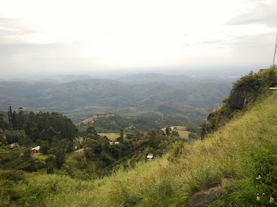 Photos of TEA SHOP