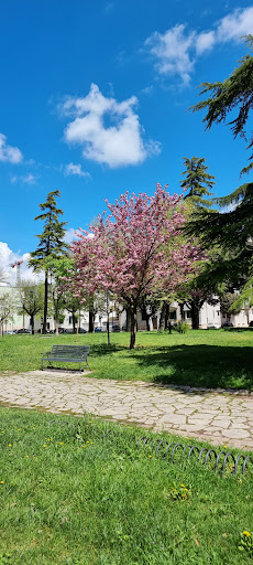 Piazza Pinto - Thumbnail