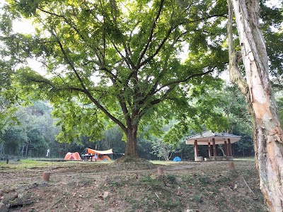 Photos of Ho Pui Campsite