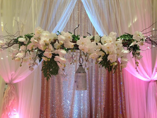 Bold, Beautiful and Beyond Weddings, LLC - Thumbnail