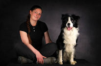 Pat'attitude - éducateur comportementaliste canin à Rollot