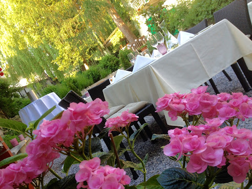 Trippolt Zum Bären by null