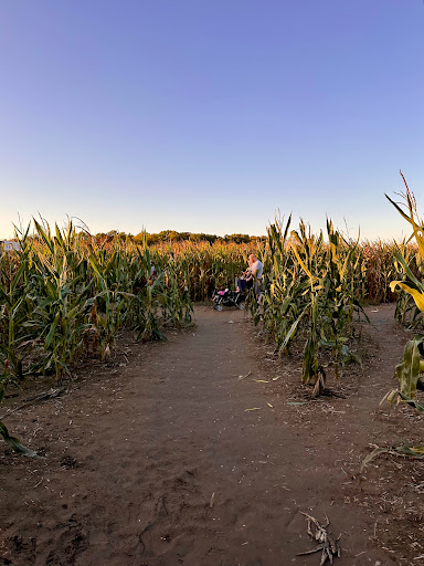 Amazing Fall Fun - Visual