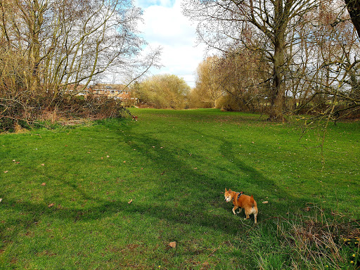 The Wier. Landing Lane. - Thumbnail