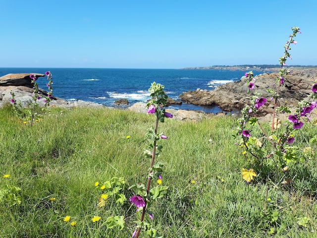 Phare des Corbeaux
