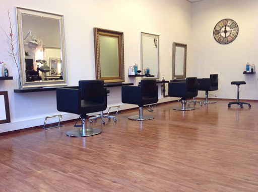 Die Haarfluesterer - Visual