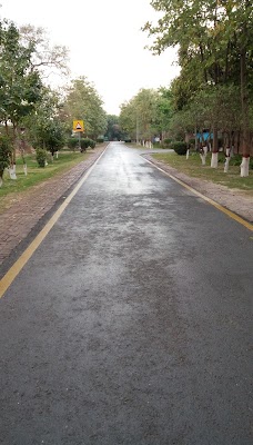 PU Tennis Court lahore