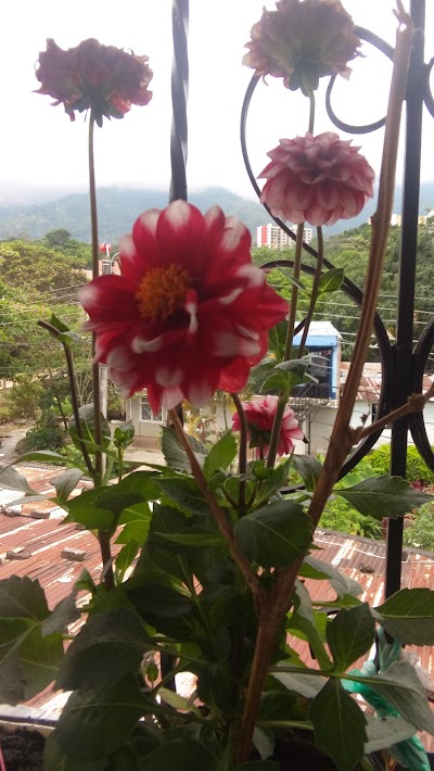 Photos of Boqueron