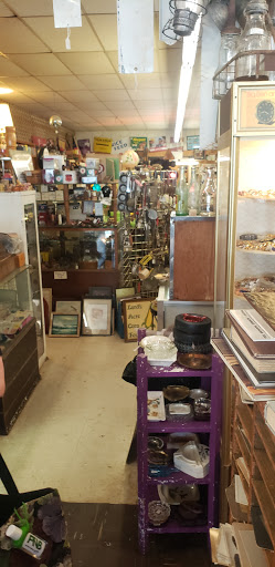 Gene's Collectibles - Thumbnail