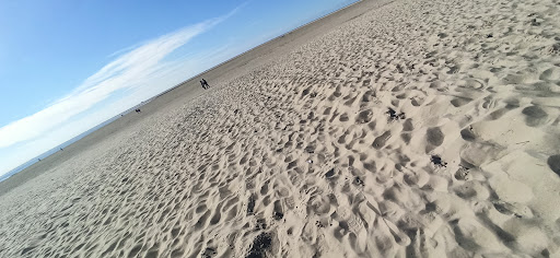 Öy Wassersportbasis Borkum - Thumbnail