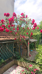 Photo n°18 de GK-services à Talmont-Saint-Hilaire (Jardin)
