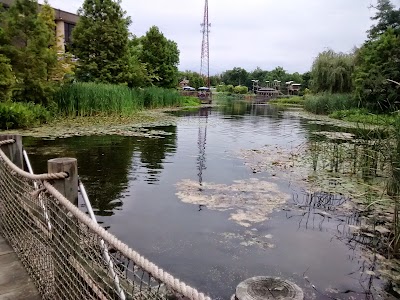 Photos of Creation Museum