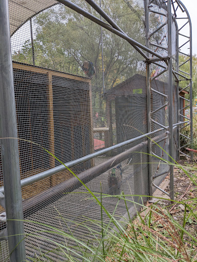 Aussie Aviary - Visual