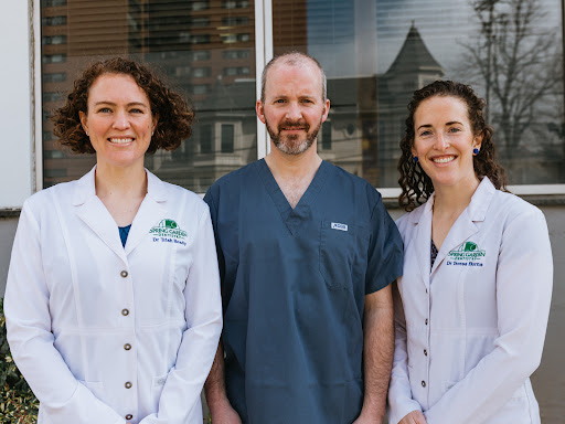 Spring Garden Dentistry - Thumbnail