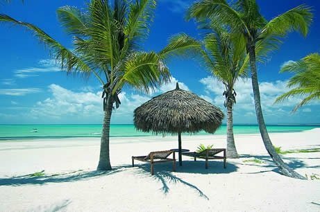 Fermin Travel Gallery - United States