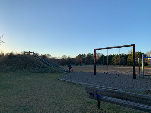 Rabbit Park - Visual