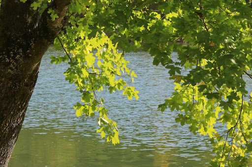 Parkplatz Nähe Kunstweg an Fels und Fluss - Thumbnail