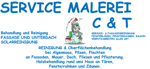 SERVICE MALEREI C & T