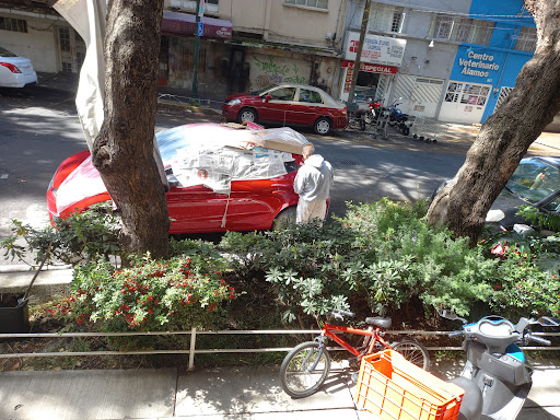 Servicio Automotriz Juárez