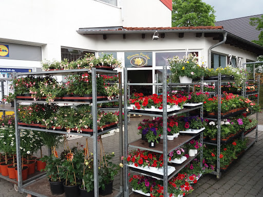 Blumenfachgeschäft Fischer - Visual