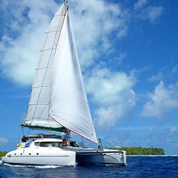 Photo n°9 de Fare Voyages: Agence de Voyage Spécialisé Tahiti, Polynésie et Pacifique à Paris (Agence de voyages)