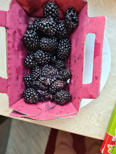 Freisinger Wochenmarkt - Visual