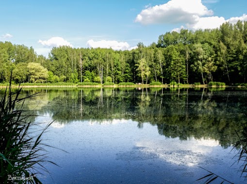 Miner Valley - Fishing pond, Author: Bart Woncki