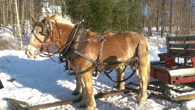 Sugarbush Farm