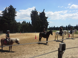 Photo n°6 de ECURIE DU REGAIN à Sénas (Centre équestre)