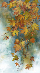 Photo n°4 de Licence To Quilt à Neulliac (Magasin de tissus)