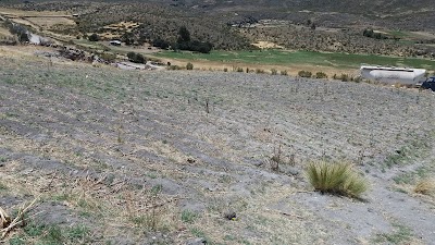 photo of Piscina de Aguas Termales Huancarama