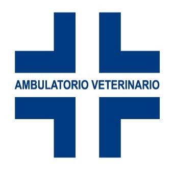 Ambulatorio Veterinario Dott. Cigliuti Arturo Giancarlo