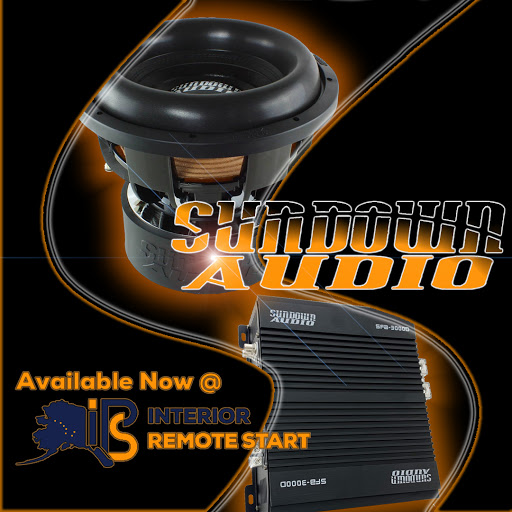 Interior Remote Start - Visual