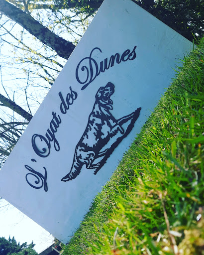 Domaine de l'Oyat des Dunes - Thumbnail