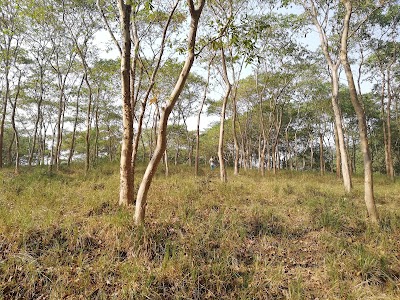 Photos of Babudang Picnic Ground