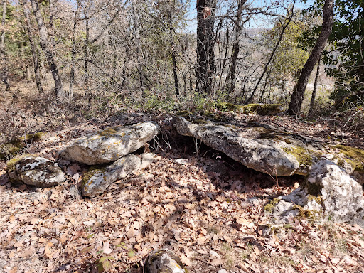 Dolmen Collsuspina - Spain
