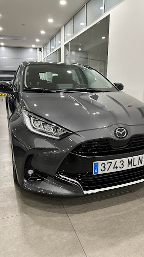 Lemauto Mazda - Visual