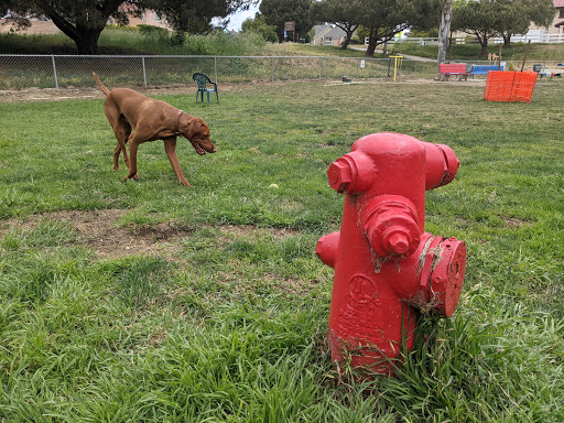 Barkin Park - Visual