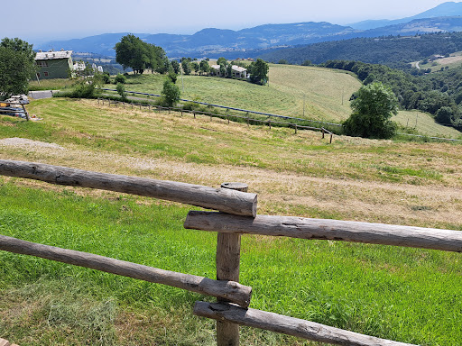 Malga Faggioli - Thumbnail