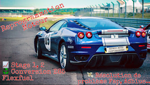 Photo n°1 de Reprog'Auto Performances à Portet-sur-Garonne (Détaillant spécialisé dans les systèmes de transmission automobile)