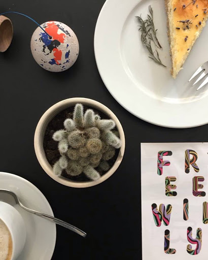 FreeWilly - Visual